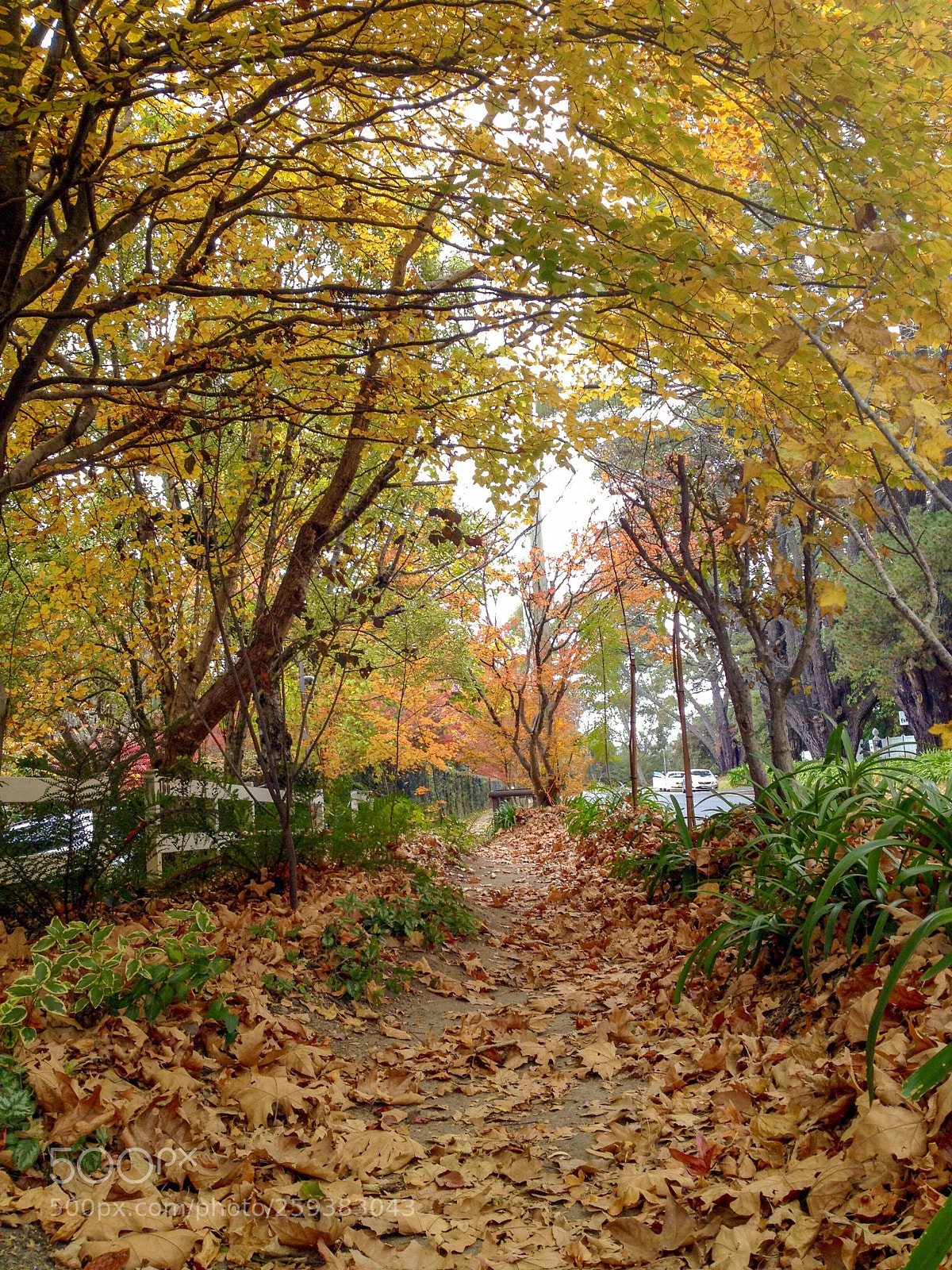 Apple iPhone 4S sample photo. Untitled photography