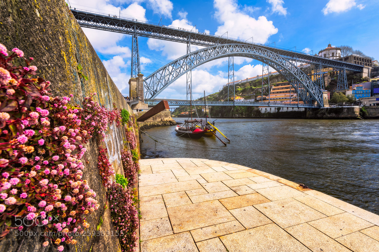 Nikon D850 sample photo. Spring-time | porto, portugal photography