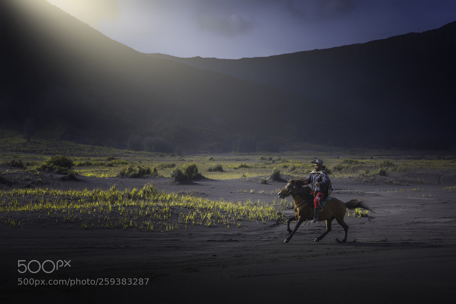 Nikon D810 sample photo. The rider_dsc8960.jpg photography