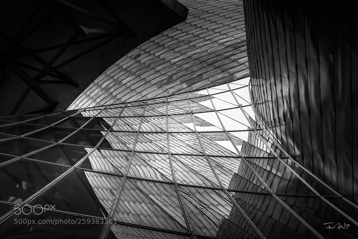 Canon EOS 6D sample photo. Bilbao - guggenheim photography