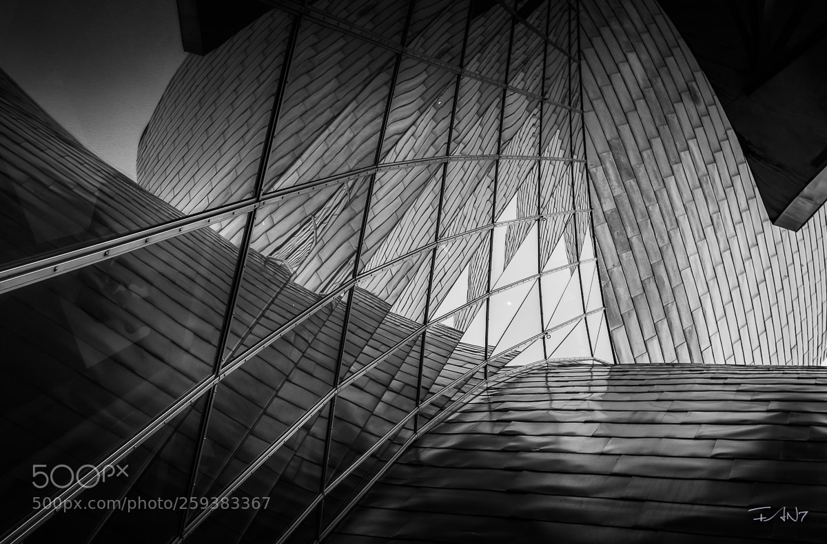 Canon EOS 6D sample photo. Bilbao - guggenheim photography