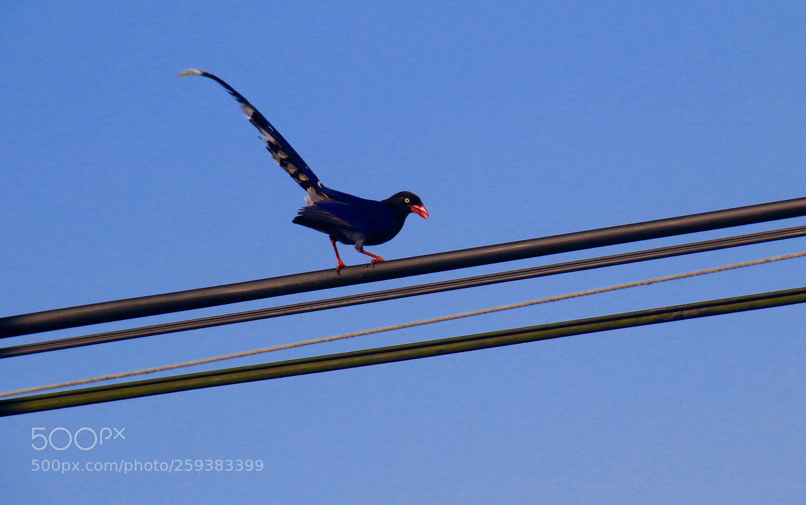 Canon EOS 7D Mark II sample photo. Untitled photography