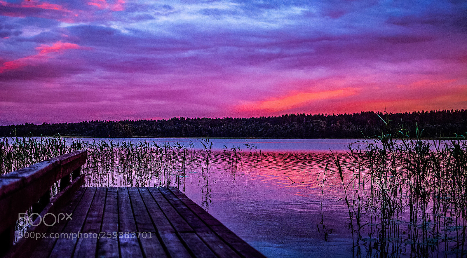 Nikon D7100 sample photo. Summer evening photography