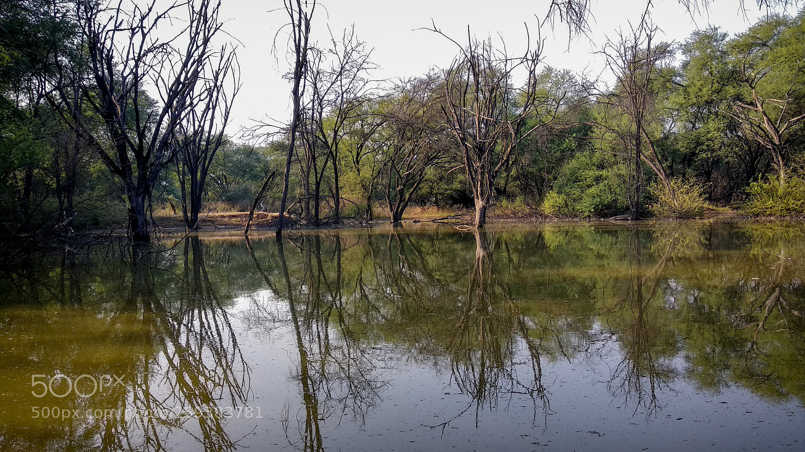 Xiaomi Mi A1 sample photo. Aranya photography