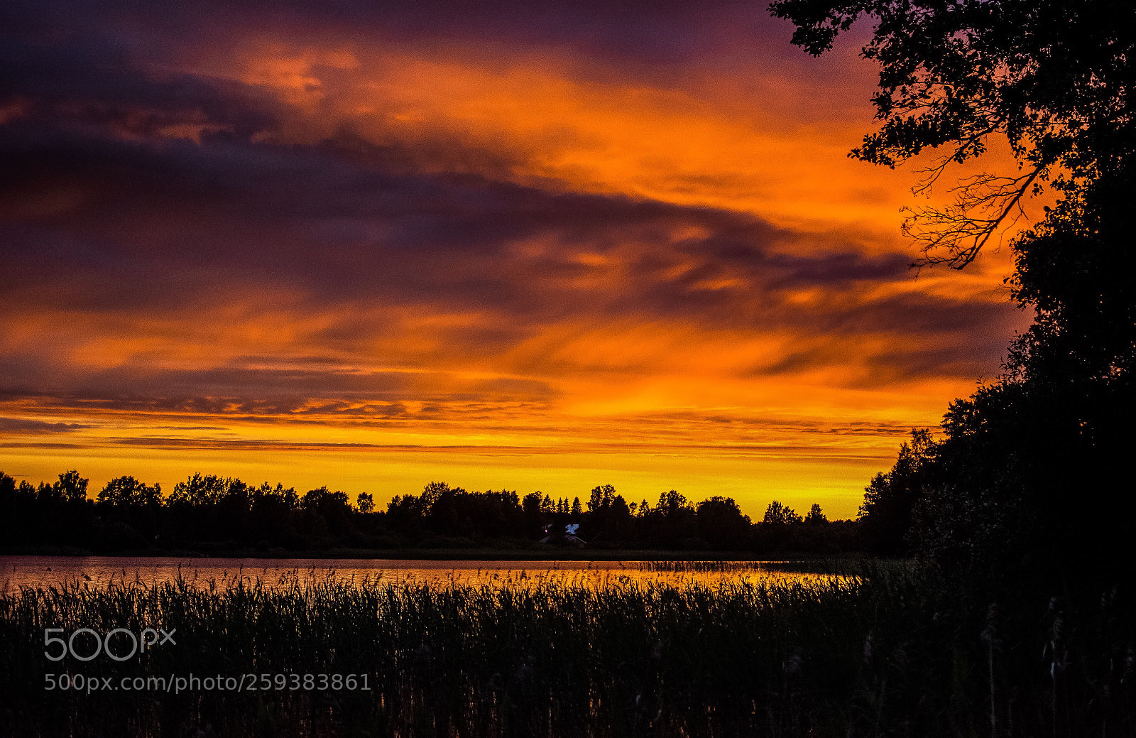 Nikon D7100 sample photo. Summer evening photography