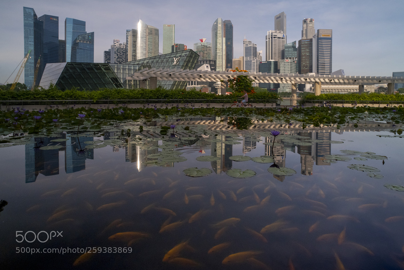 Nikon D850 sample photo. Marina bay photography