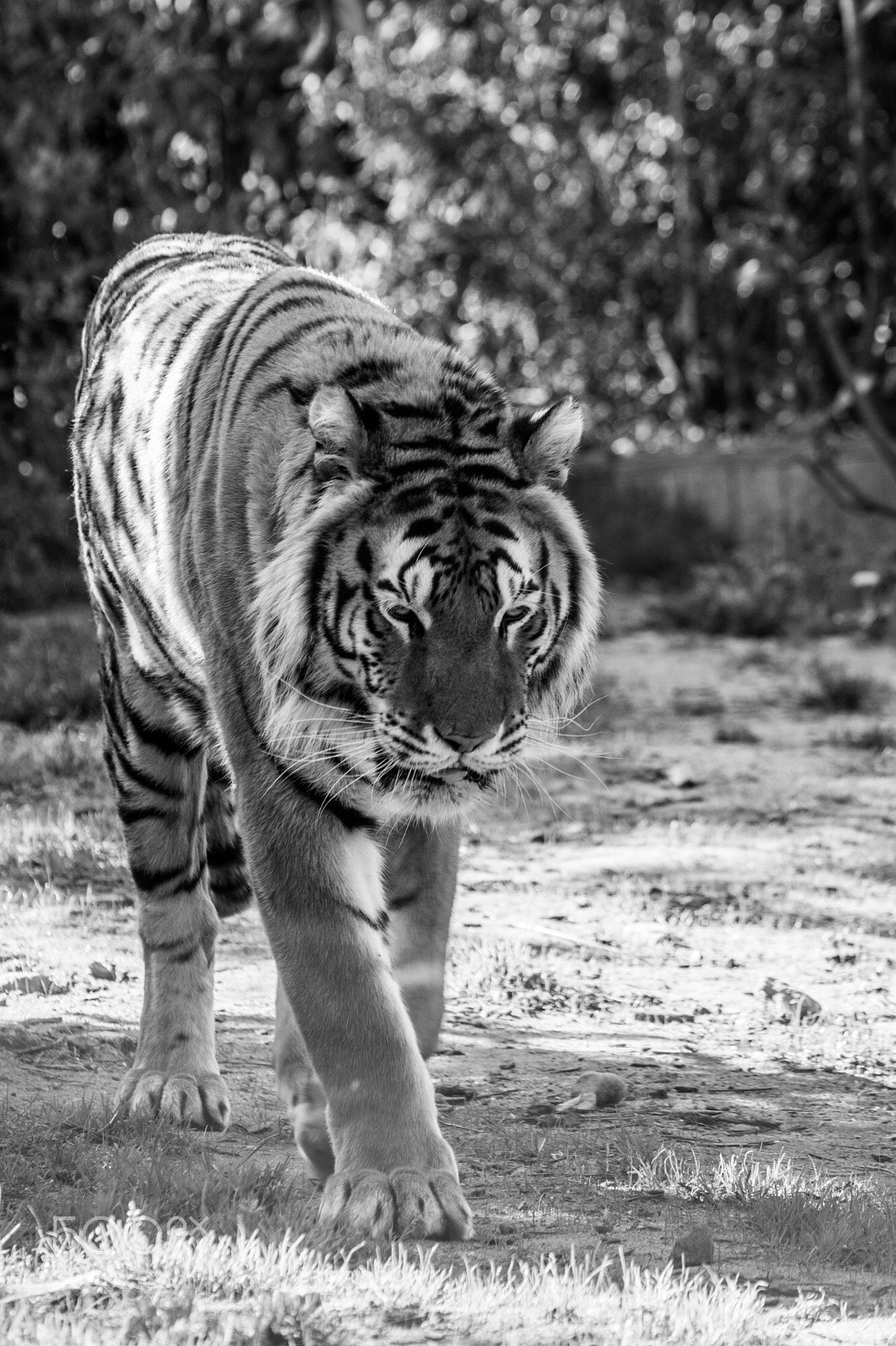 Nikon D5200 sample photo. Untitled photography