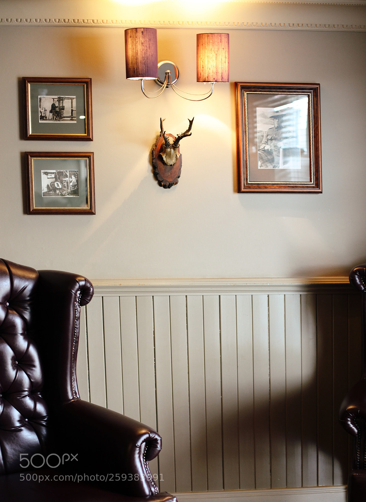 Canon EF 50mm F1.4 USM sample photo. The deer horns photography