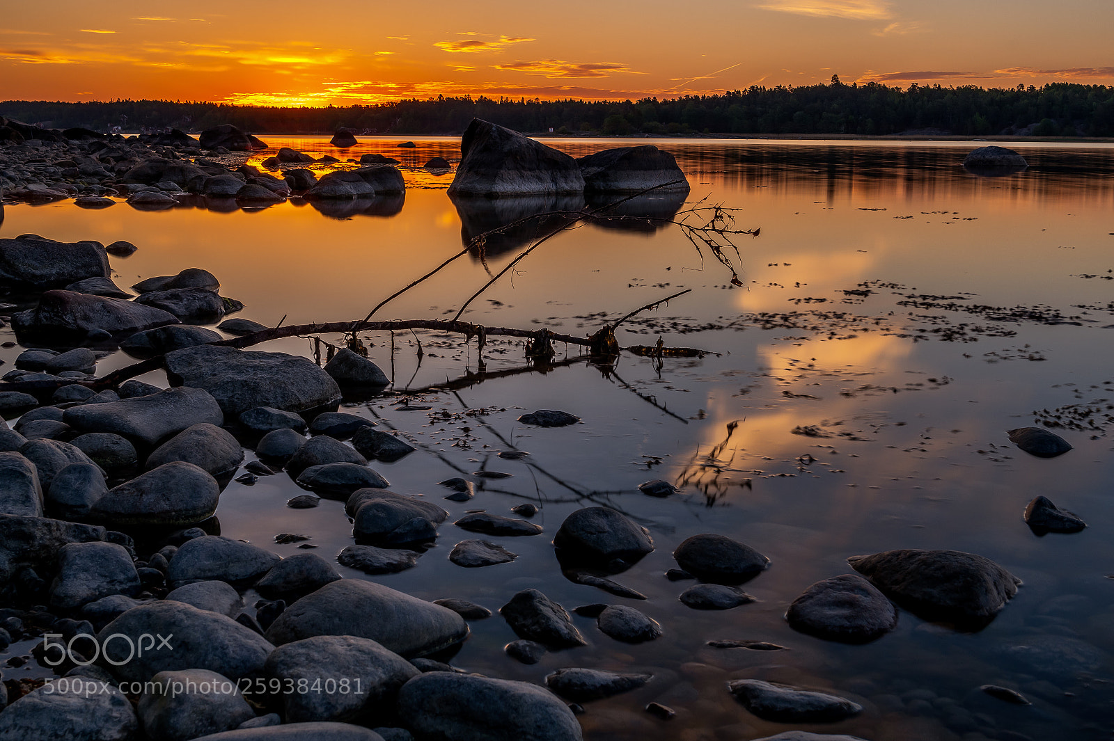 Nikon D850 sample photo. Nynäshamn,early morning photography