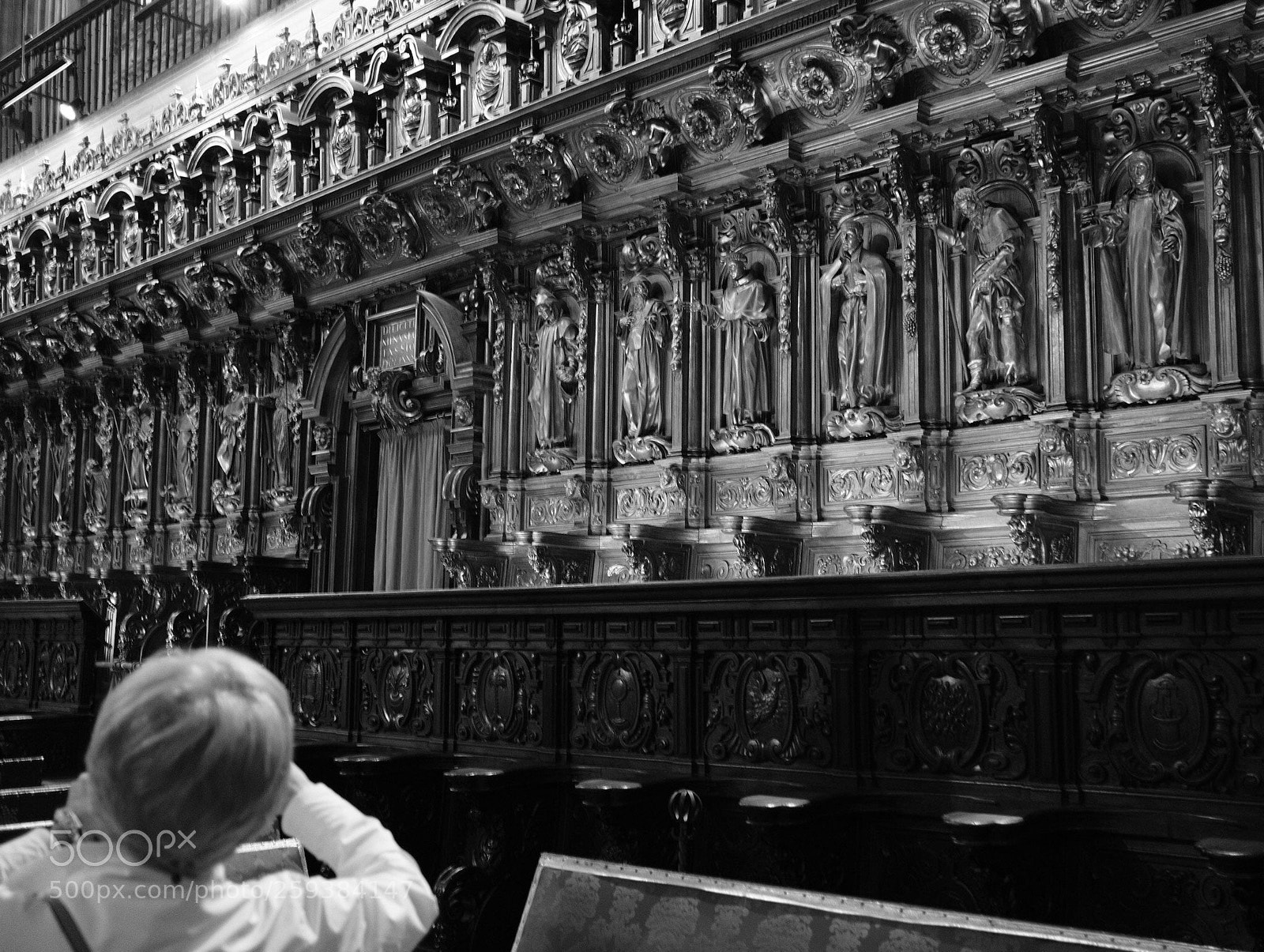 Fujifilm X-Pro2 sample photo. Malaga cathedral  photography