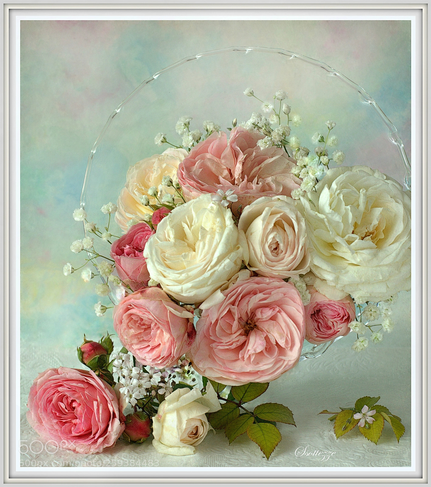 Canon EOS 600D (Rebel EOS T3i / EOS Kiss X5) sample photo. Roses photography