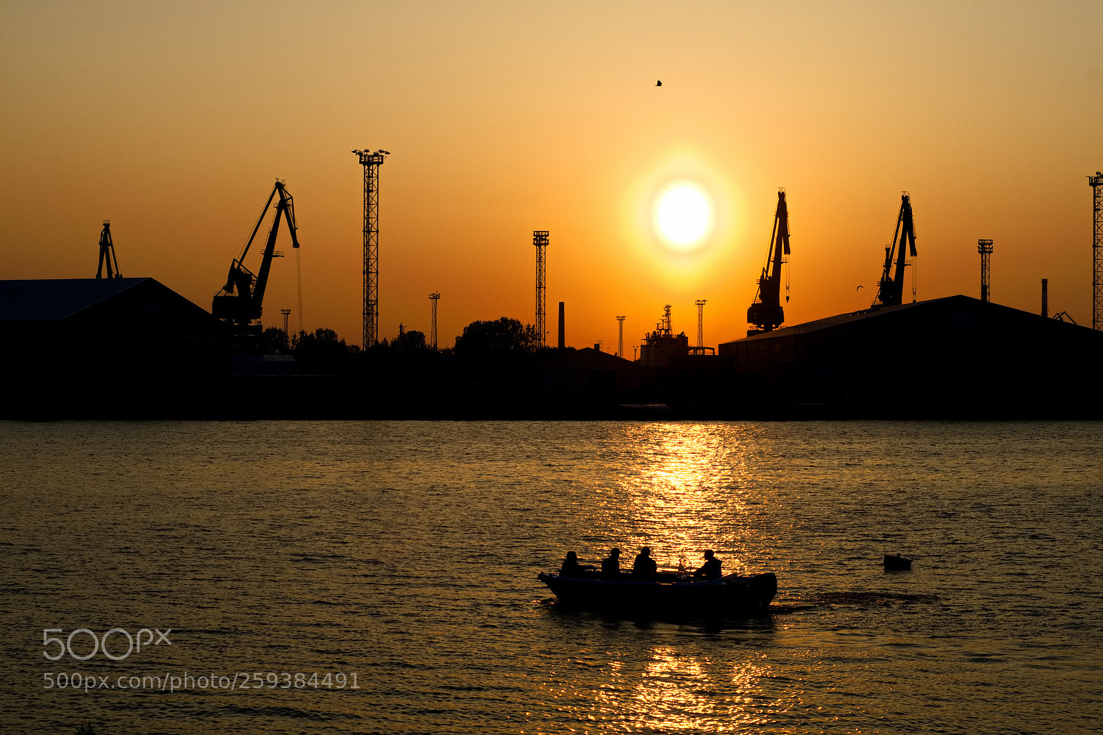 Sony a6500 sample photo. Dsc photography