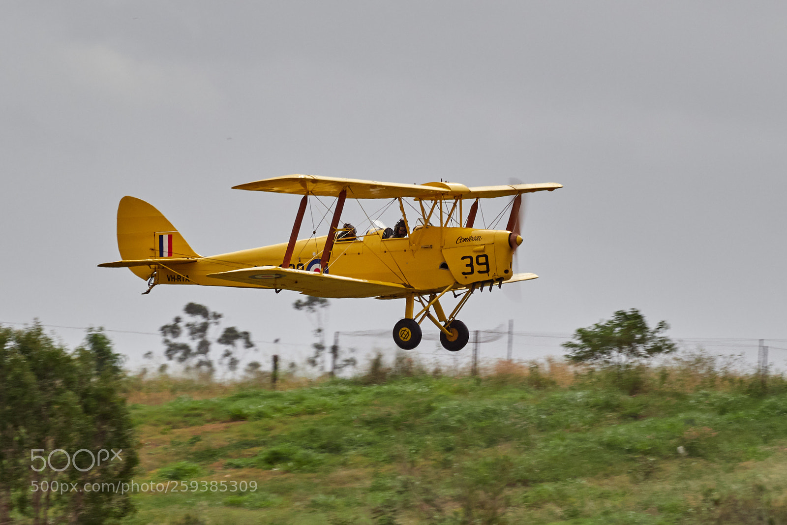 Olympus OM-D E-M1 Mark II sample photo. Da82 tiger moth photography