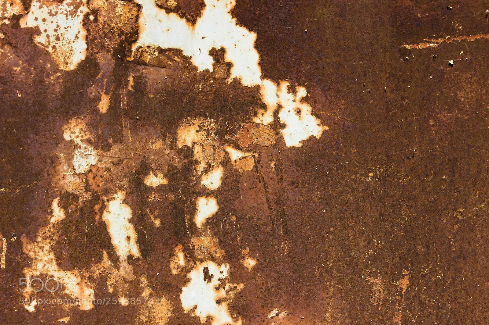 Canon EOS 600D (Rebel EOS T3i / EOS Kiss X5) sample photo. Rusty metal texture background. photography