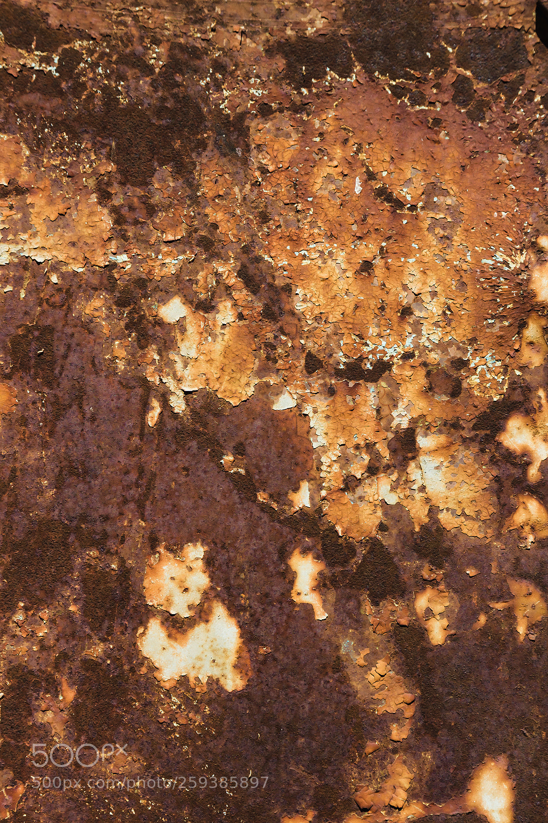 Canon EOS 600D (Rebel EOS T3i / EOS Kiss X5) sample photo. Rusty metal texture background. photography