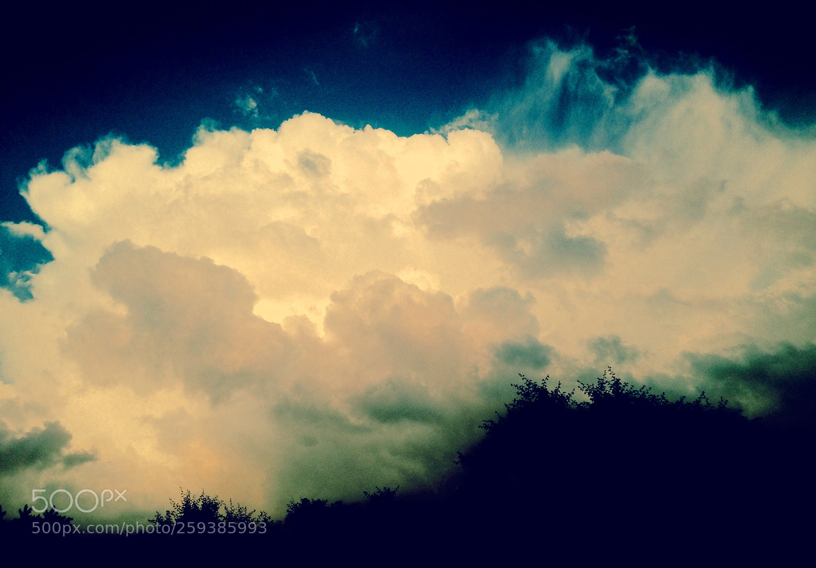 Apple iPhone 5 sample photo. "memento audere semper" photography