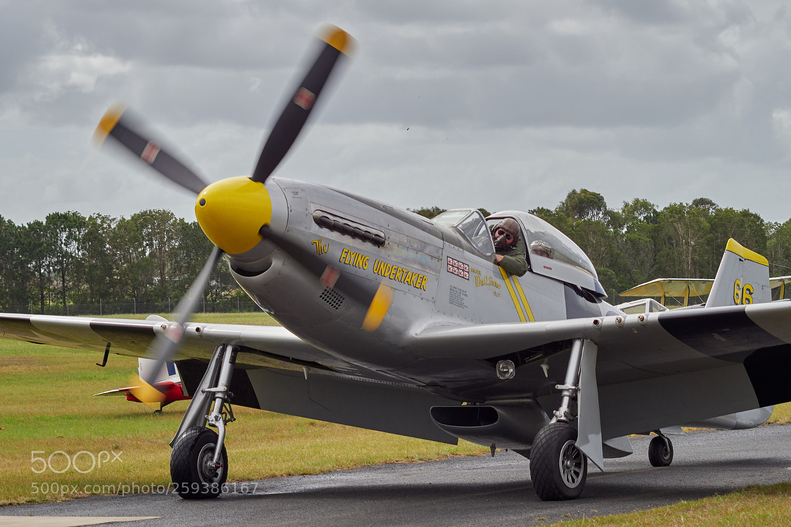 Olympus OM-D E-M1 Mark II sample photo. P51d mustang photography