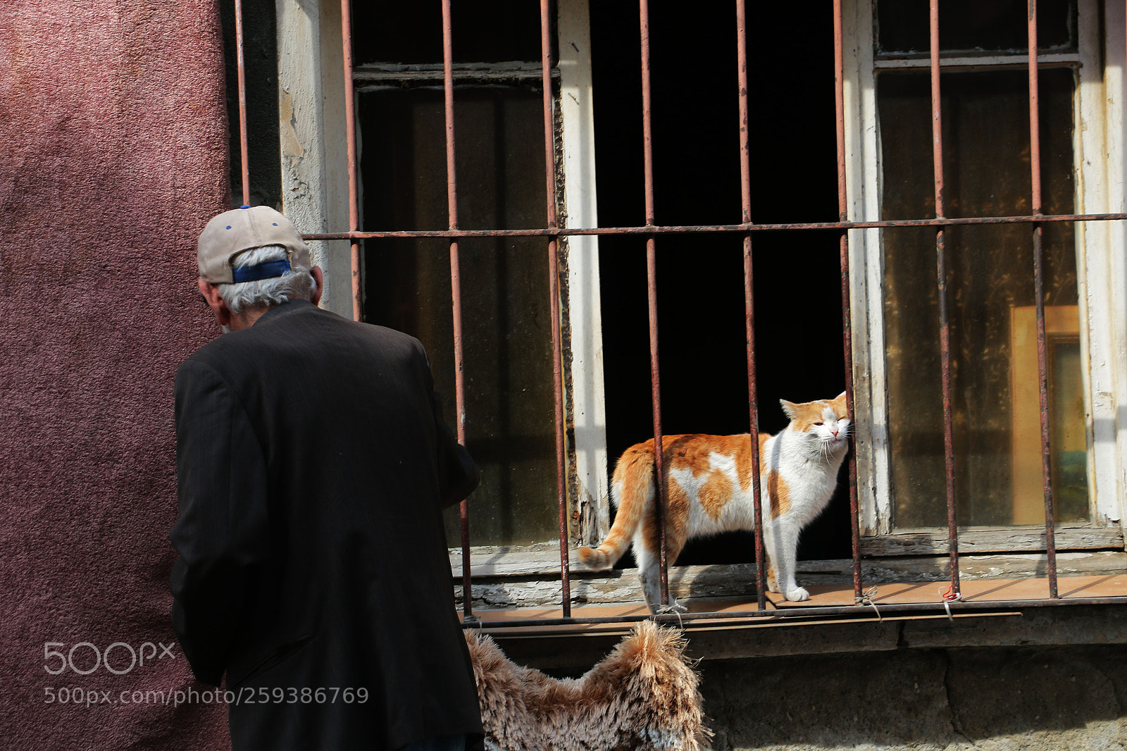 Canon EOS 70D sample photo. Img photography