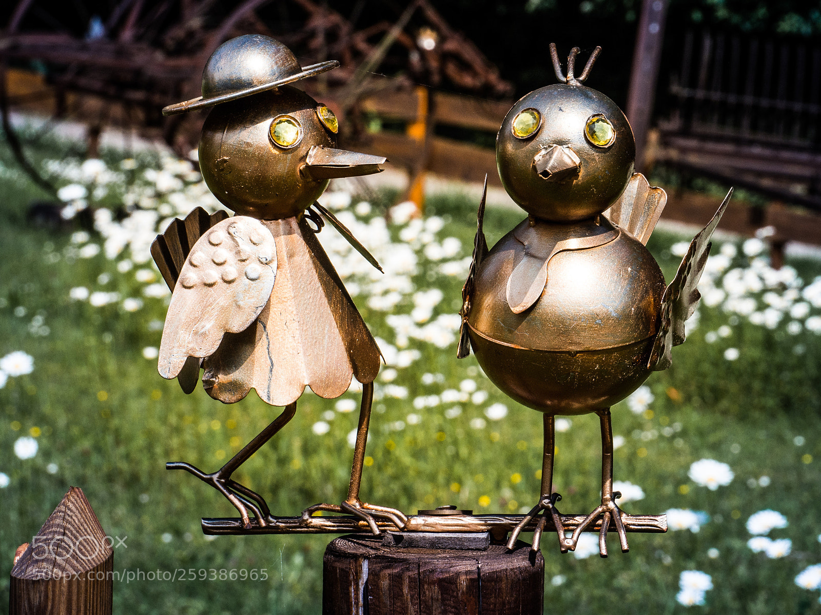 Olympus OM-D E-M10 sample photo. Metal love affair photography