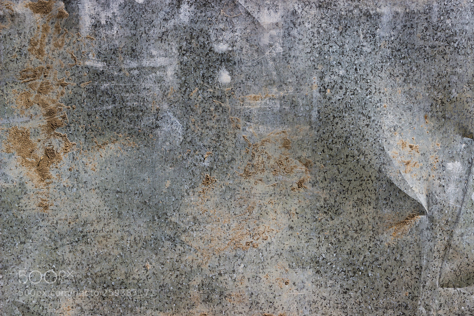 Canon EOS 600D (Rebel EOS T3i / EOS Kiss X5) sample photo. Twisted sheet of old photography