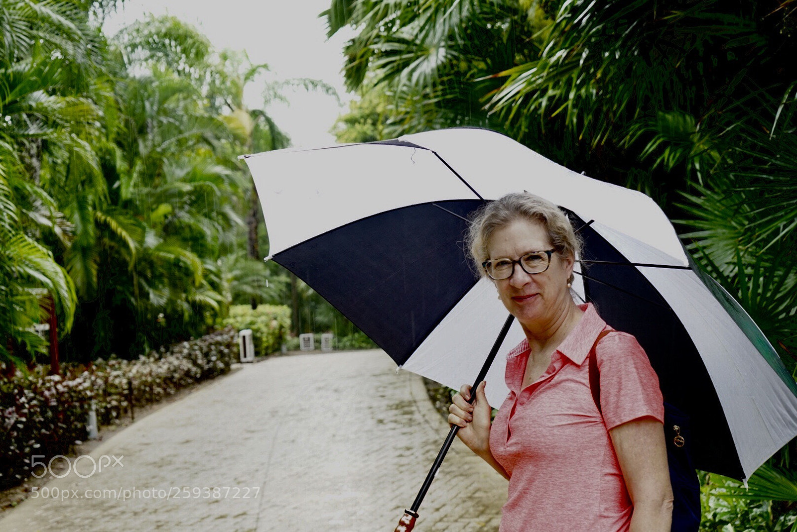 Sony a7 II sample photo. A walk in the photography