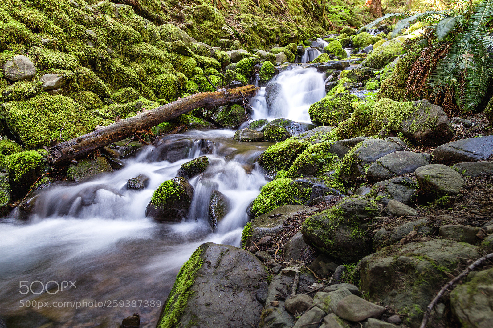 Canon EOS 6D sample photo. Streams photography
