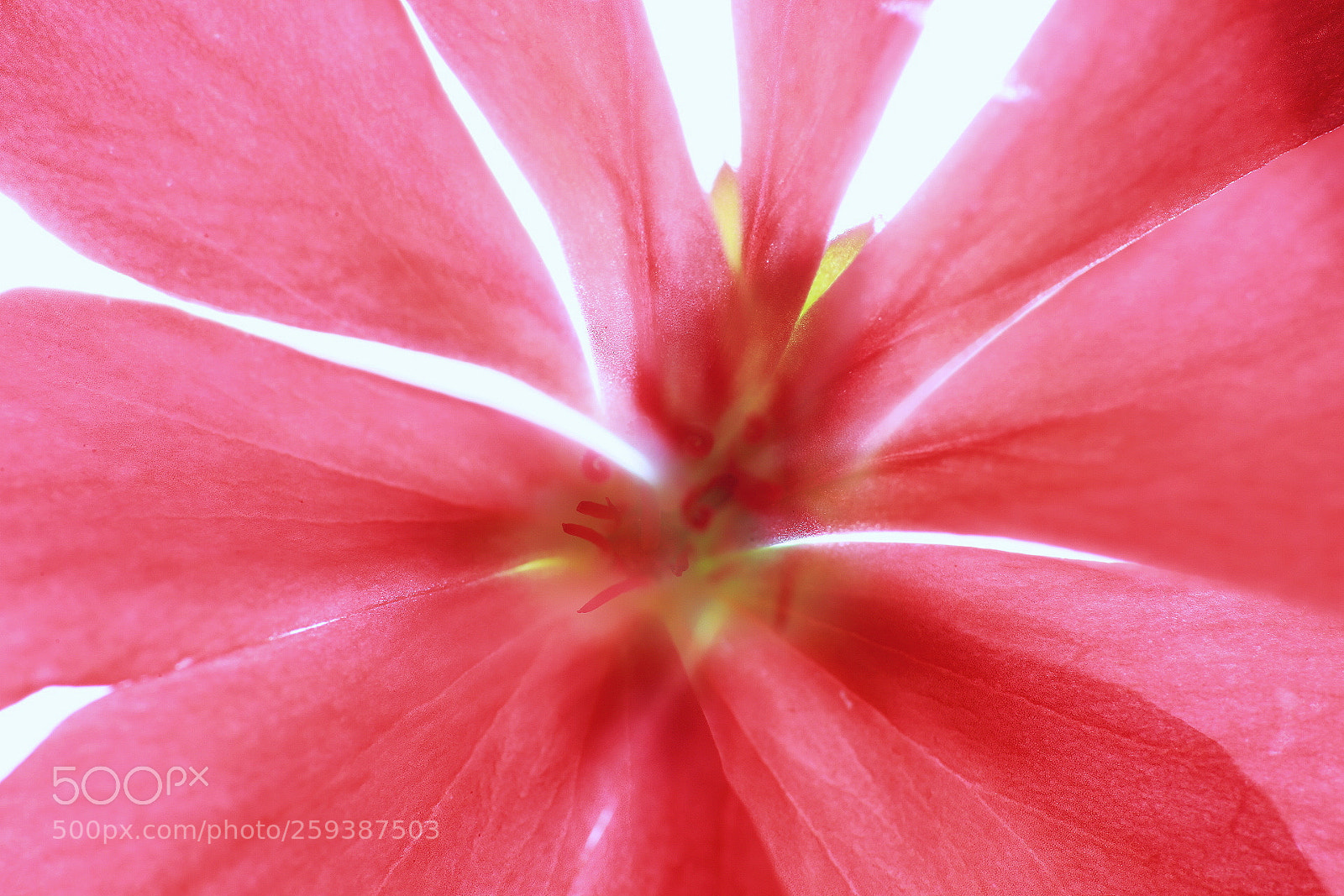 Canon EOS 6D sample photo. Untitled photography