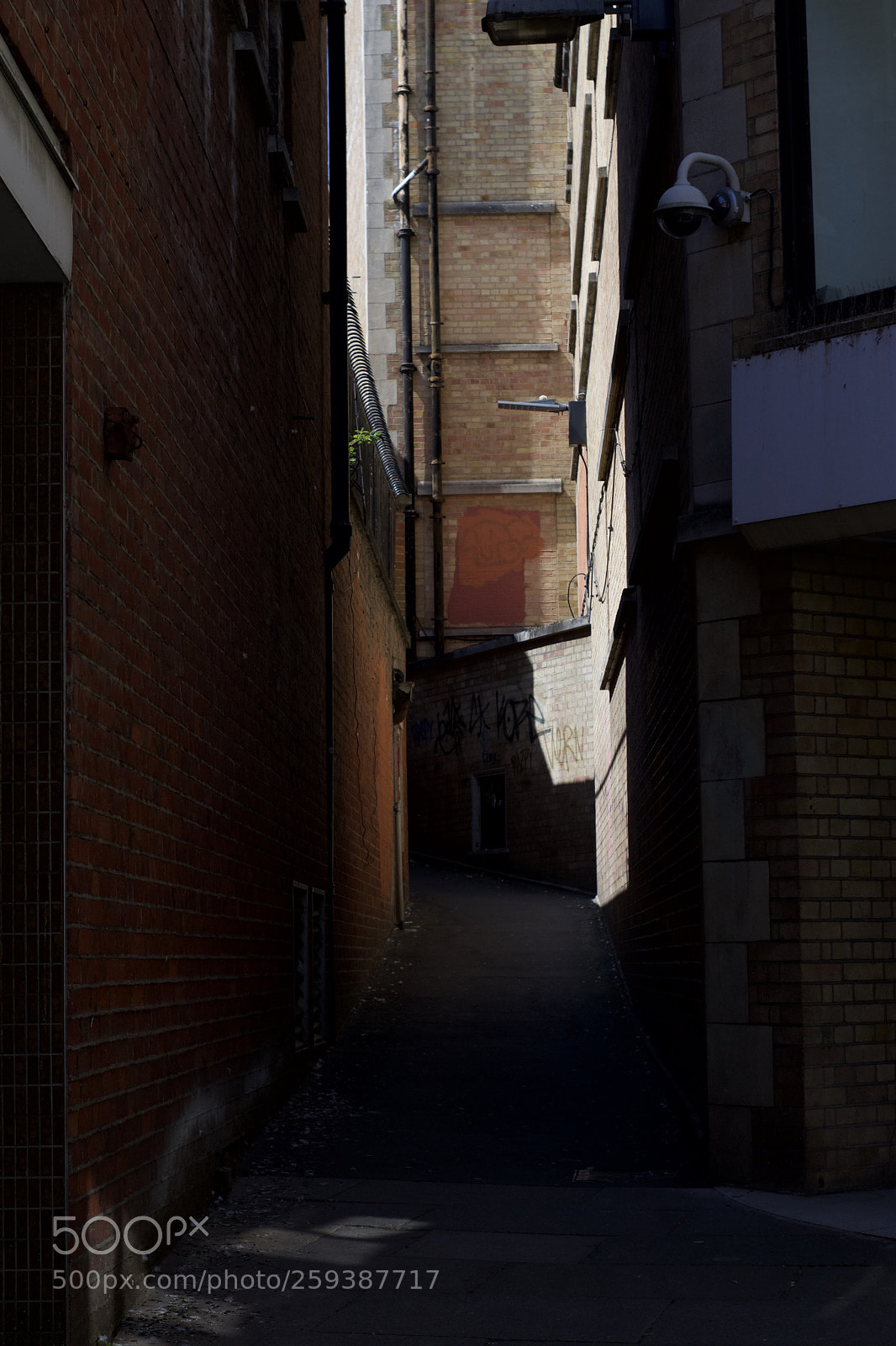 Nikon D3400 sample photo. Shadow photography