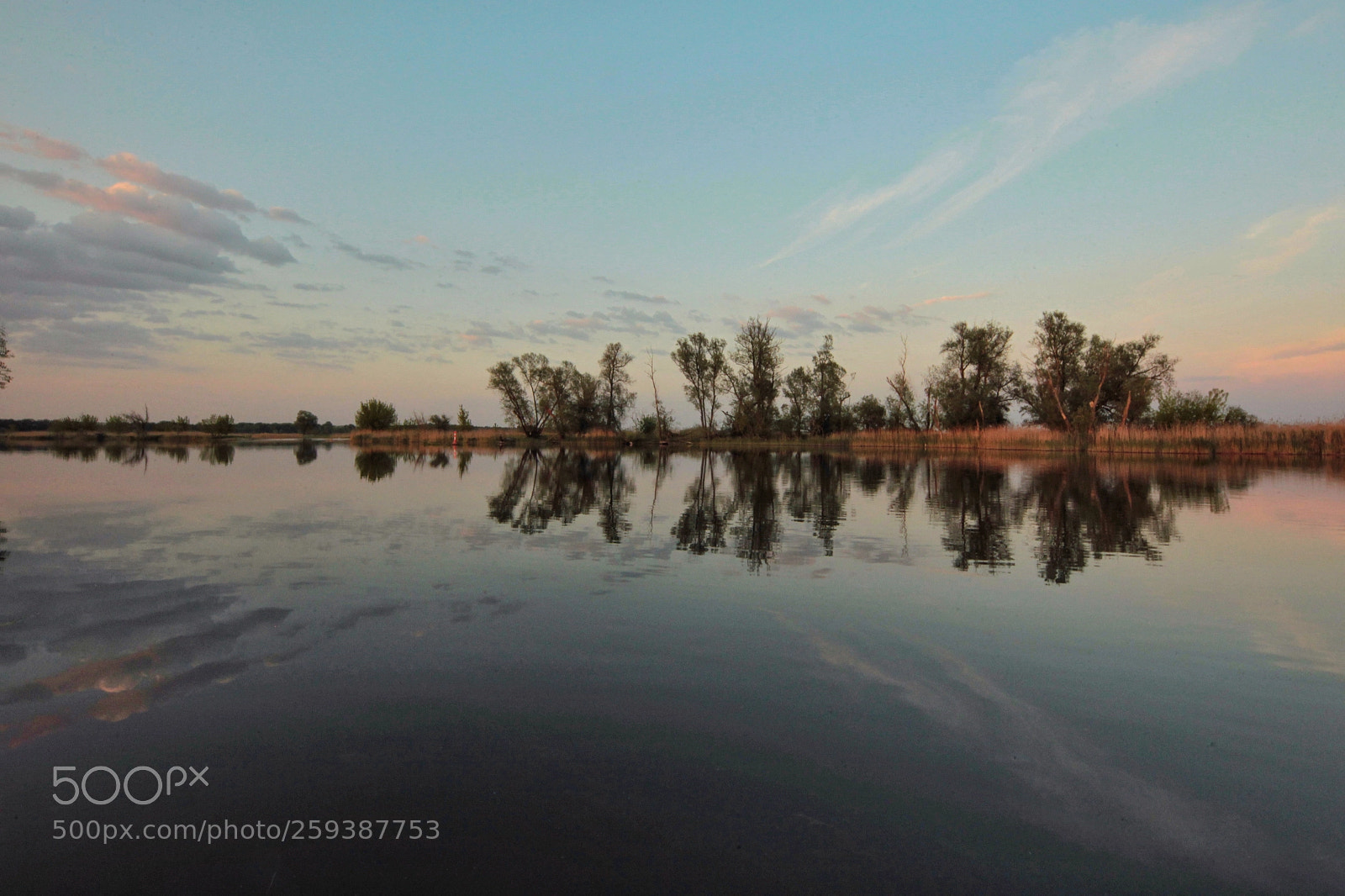 Canon EOS-1D Mark IV sample photo. Untitled photography