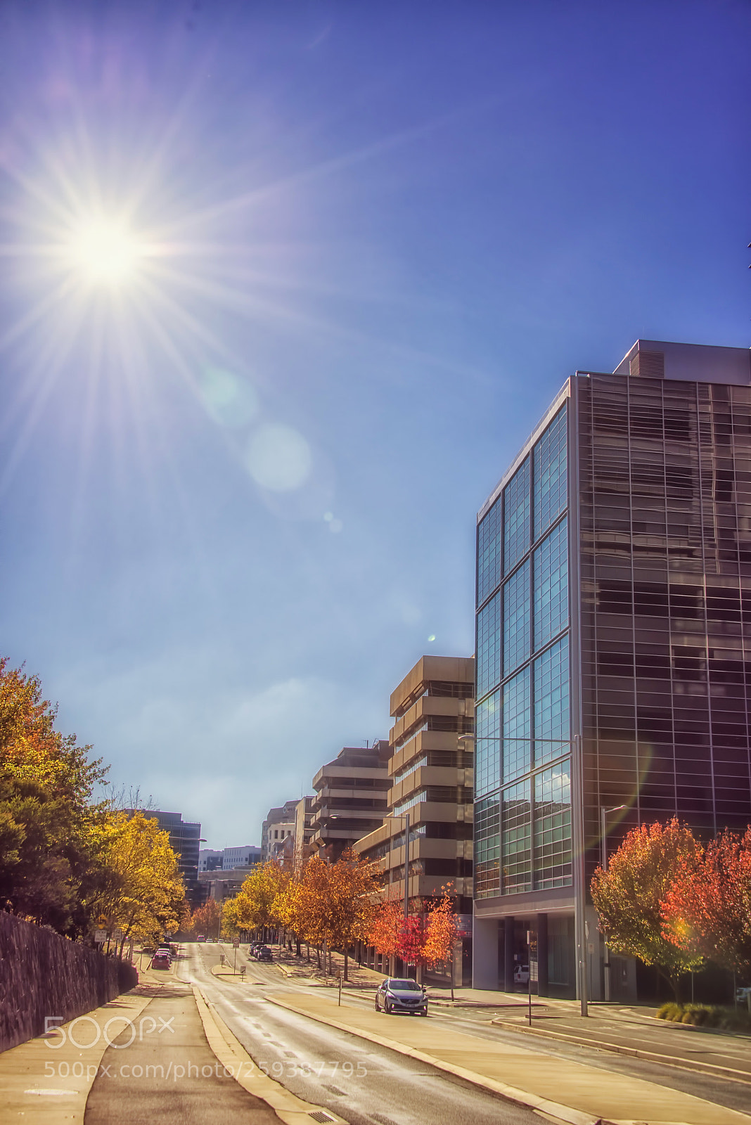 Nikon D800E sample photo. Autumn  sky photography