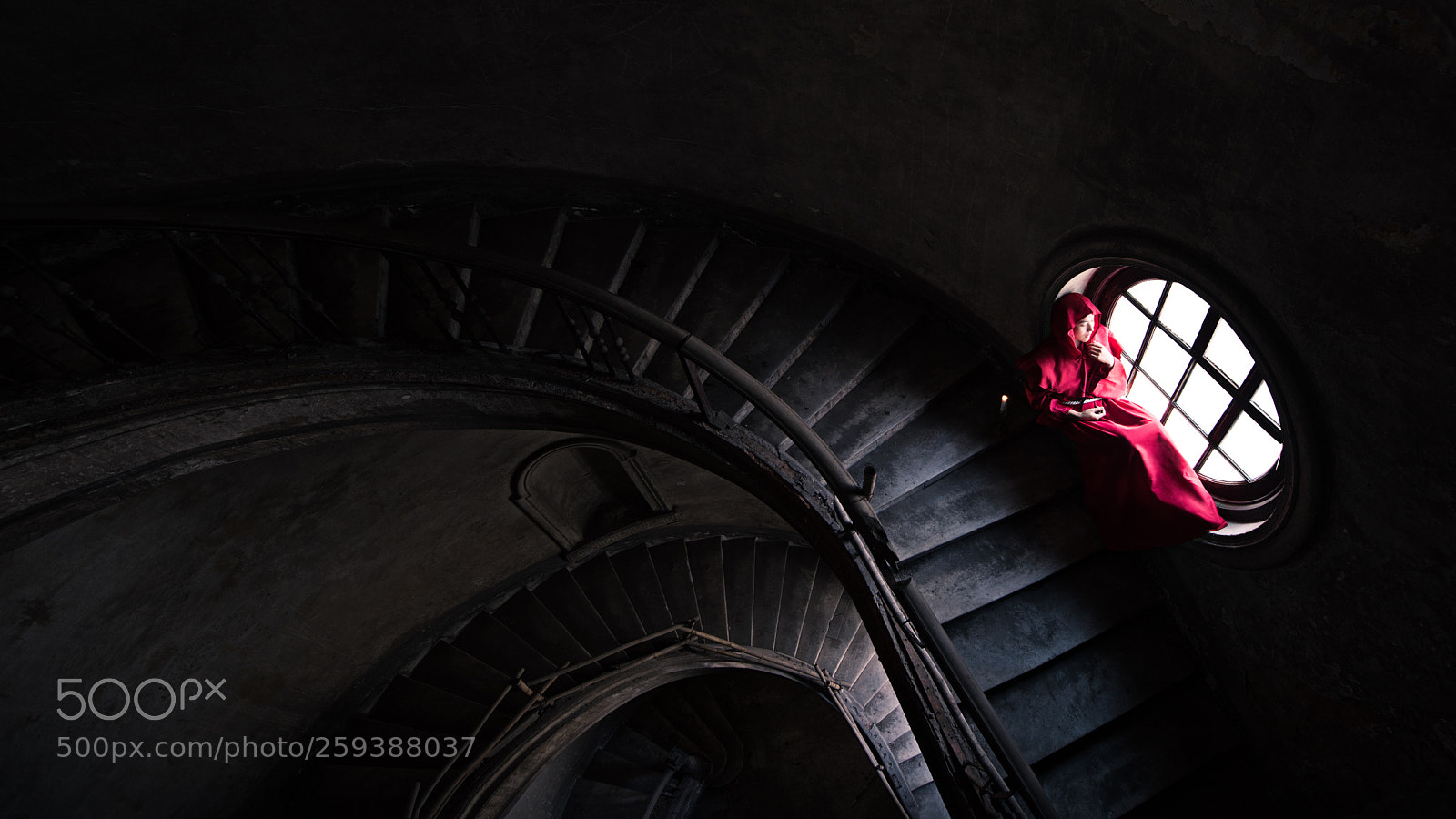 Nikon D810 sample photo. Untitled photography