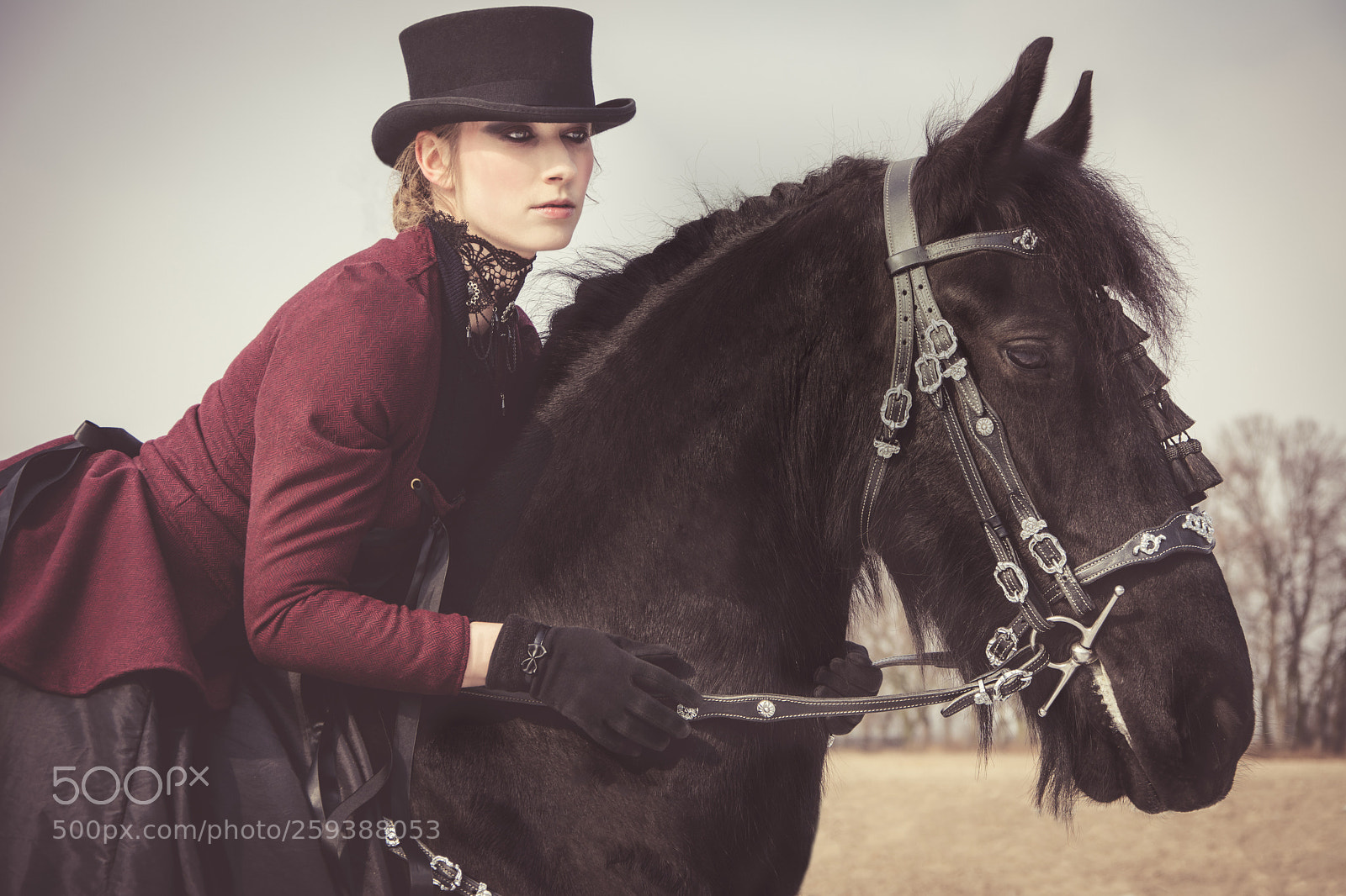 Nikon D7100 sample photo. Winter stories vi photography