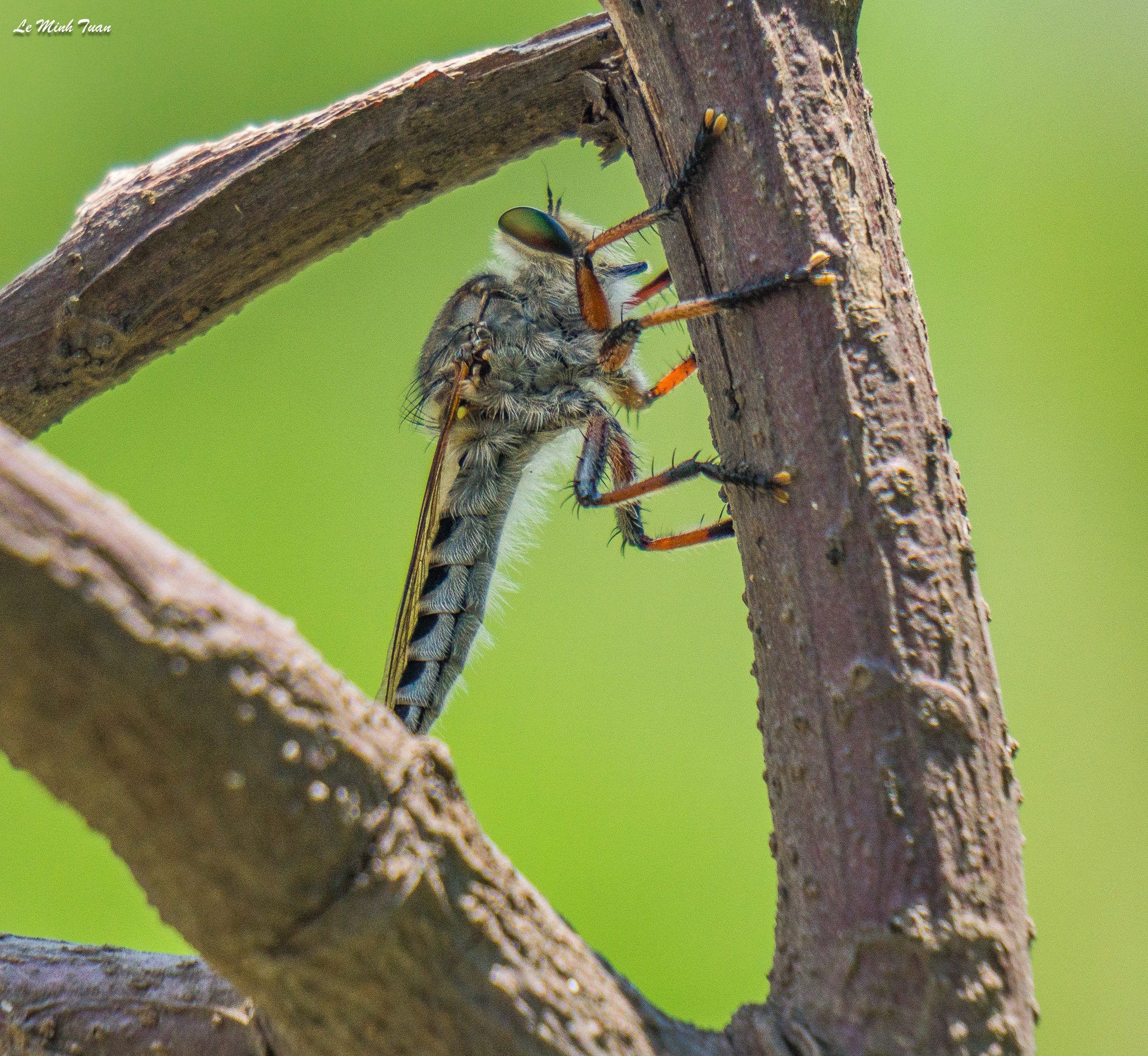 Sony Alpha NEX-7 sample photo. In the wood frame photography