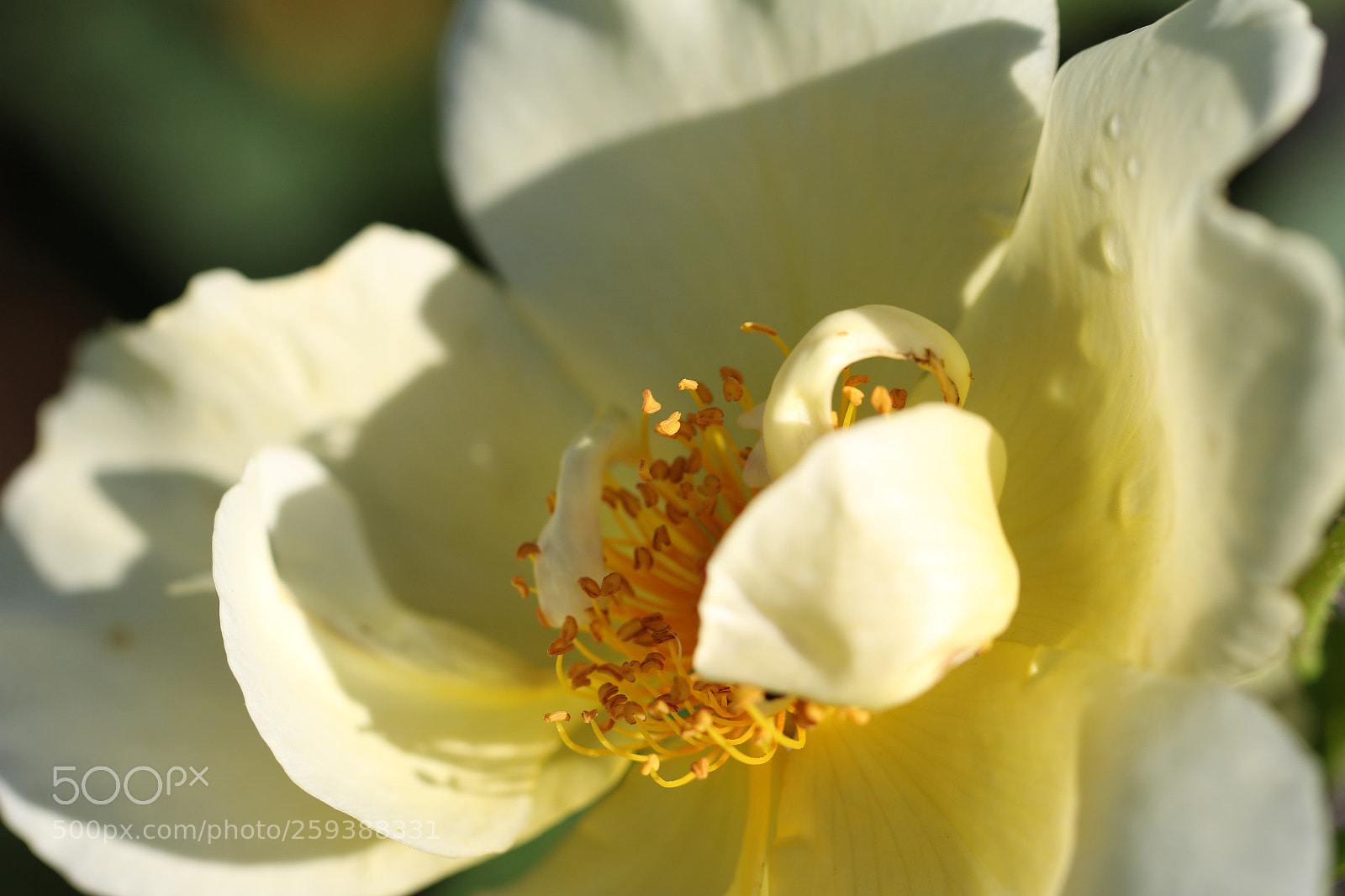 Canon EOS 70D sample photo. Untitled photography
