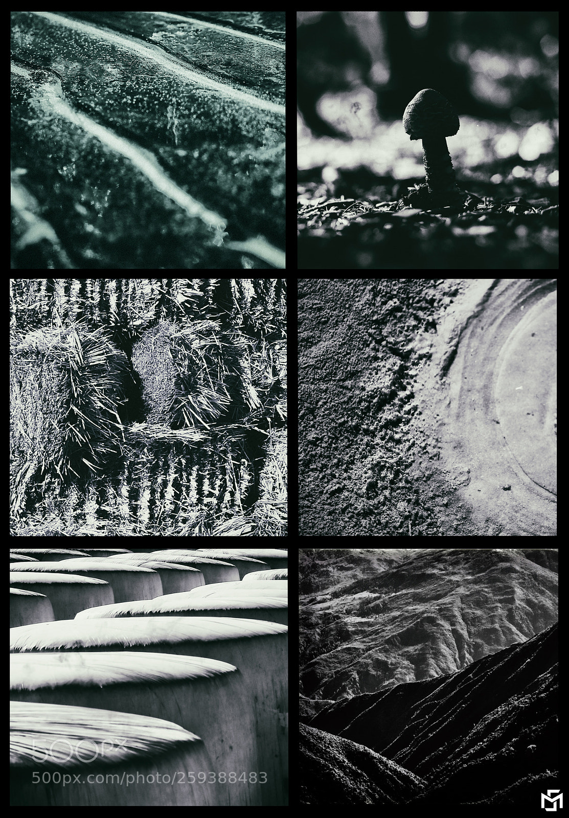 Canon EOS 6D sample photo. Black& white beauty photography