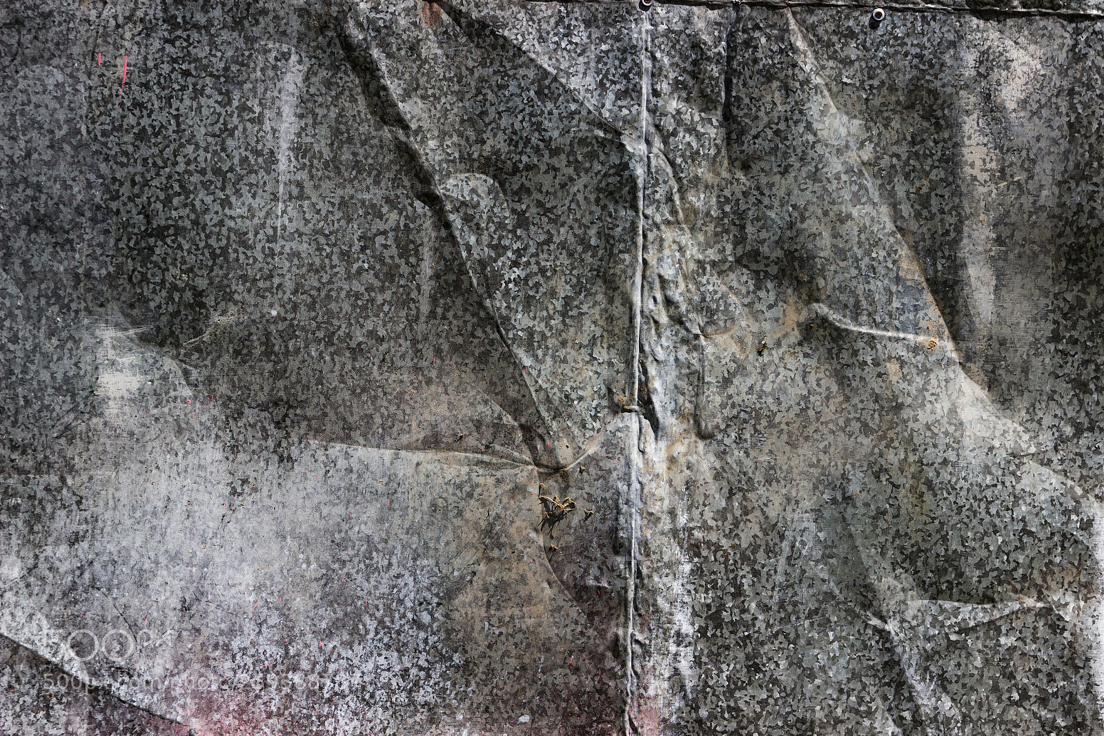 Canon EOS 600D (Rebel EOS T3i / EOS Kiss X5) sample photo. Twisted sheet of old photography