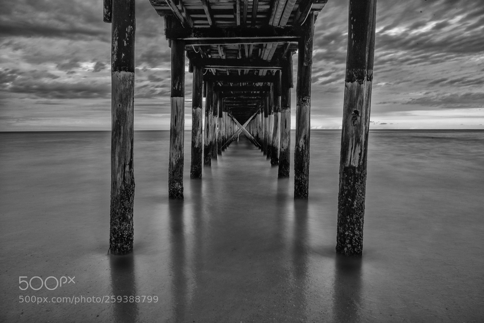 Nikon D750 sample photo. The poles photography