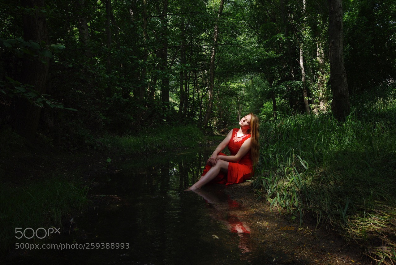 Pentax K200D sample photo. Down by the river photography