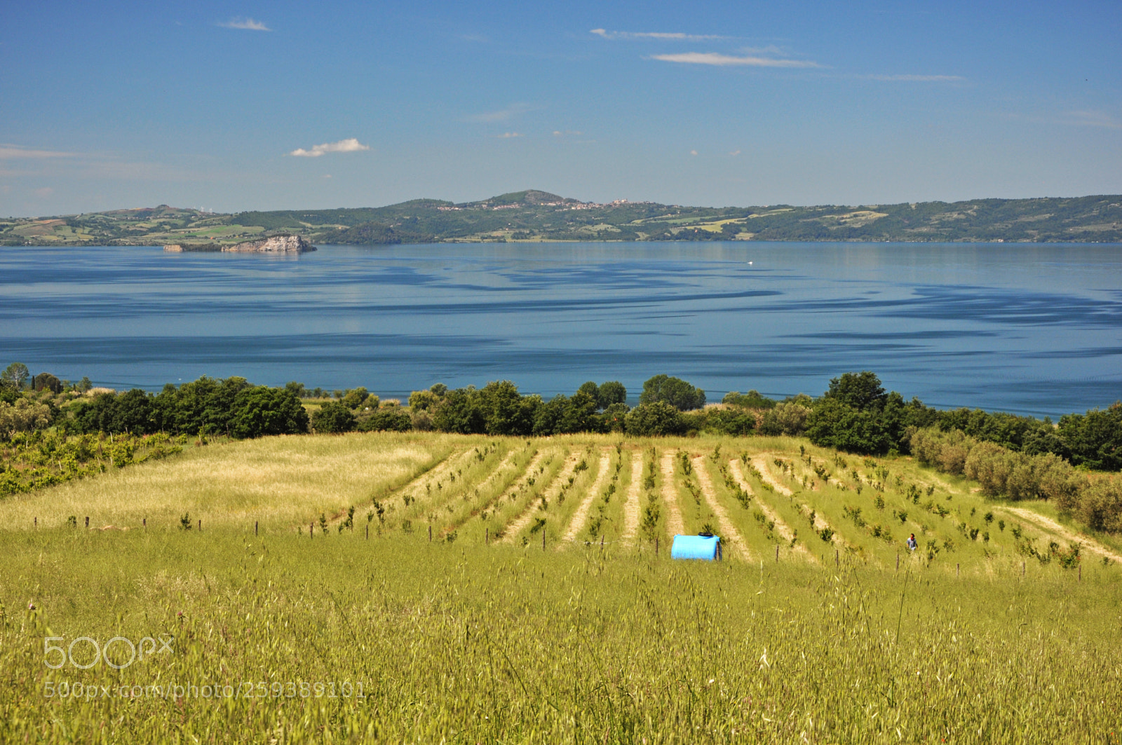 Nikon D5000 sample photo. Bolsena lake photography