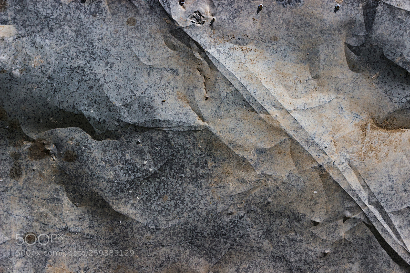 Canon EOS 600D (Rebel EOS T3i / EOS Kiss X5) sample photo. Twisted sheet of old photography