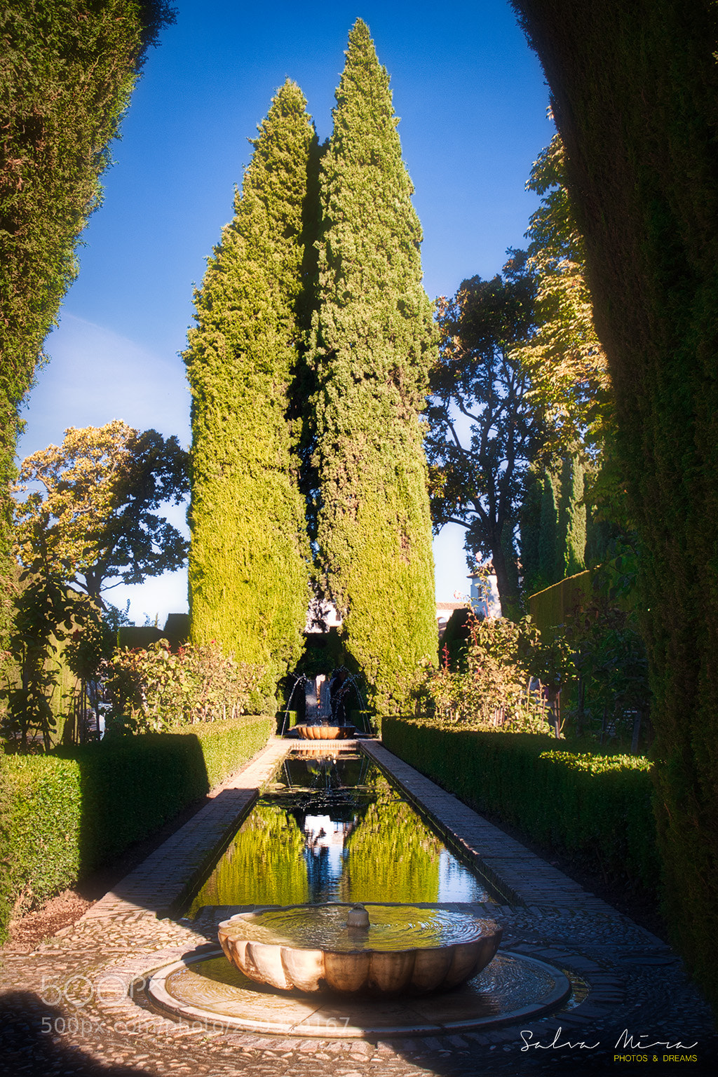 Canon EOS 50D sample photo. Jardins del generalife photography