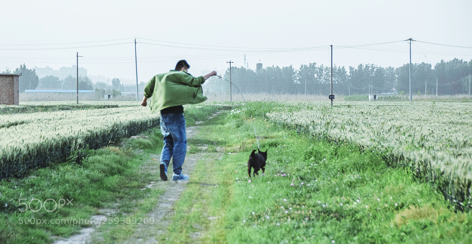 Nikon D5300 sample photo. 奔跑 photography