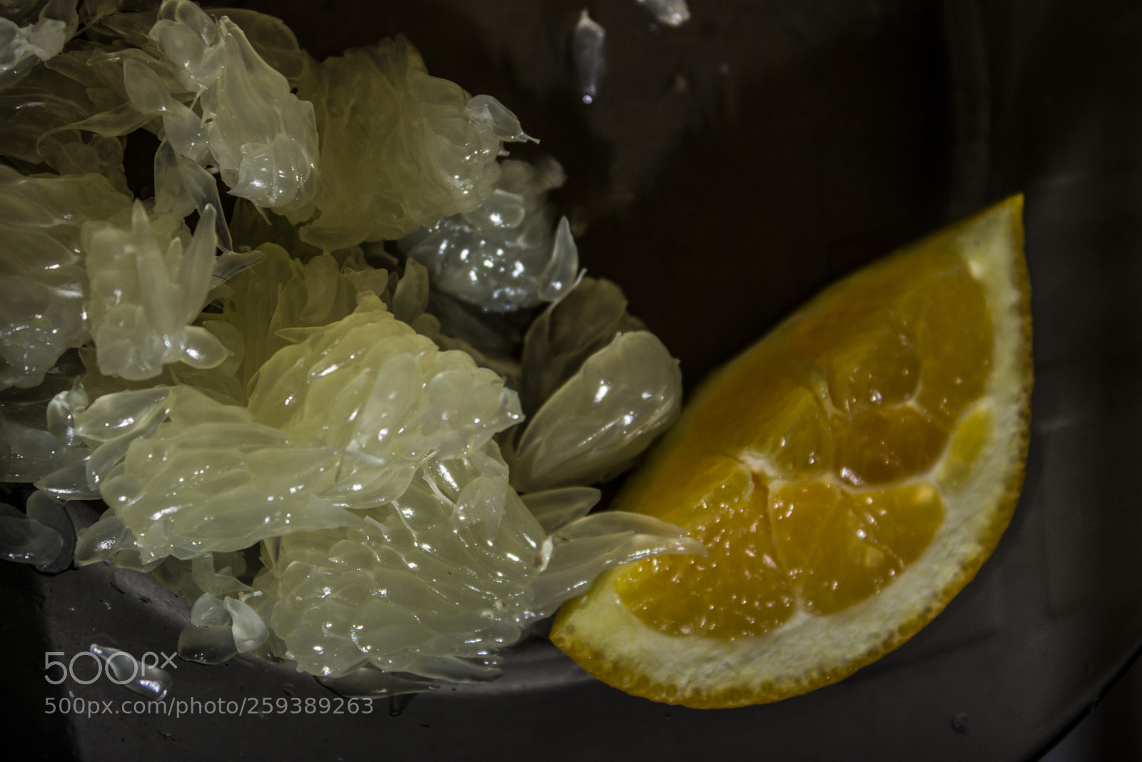 Canon EOS 600D (Rebel EOS T3i / EOS Kiss X5) sample photo. Citrus pleasure photography