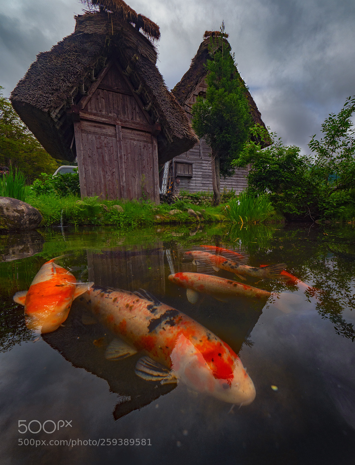 Olympus OM-D E-M1 Mark II sample photo. Shirakawa photography