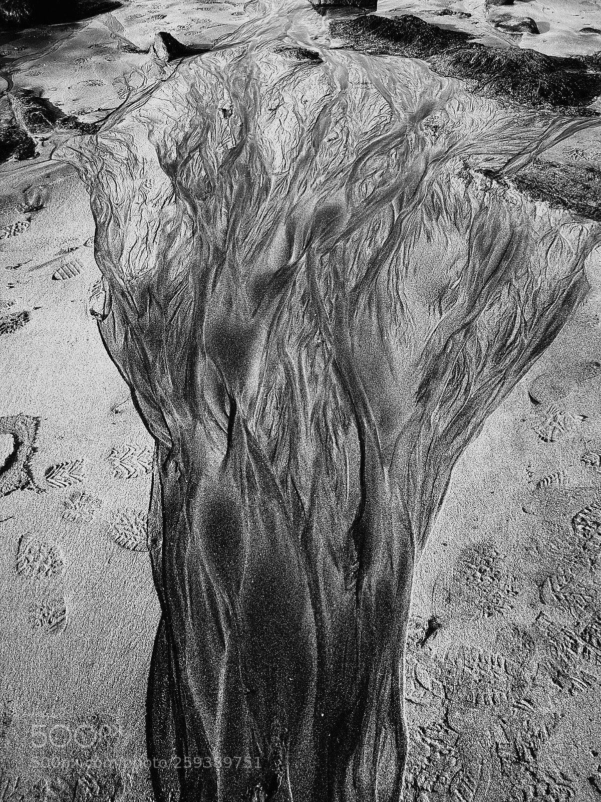 HUAWEI P10 sample photo. Beach art photography