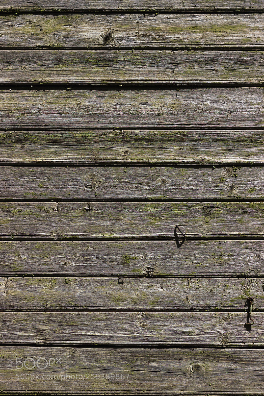 Canon EOS 600D (Rebel EOS T3i / EOS Kiss X5) sample photo. Vintage wood background photography