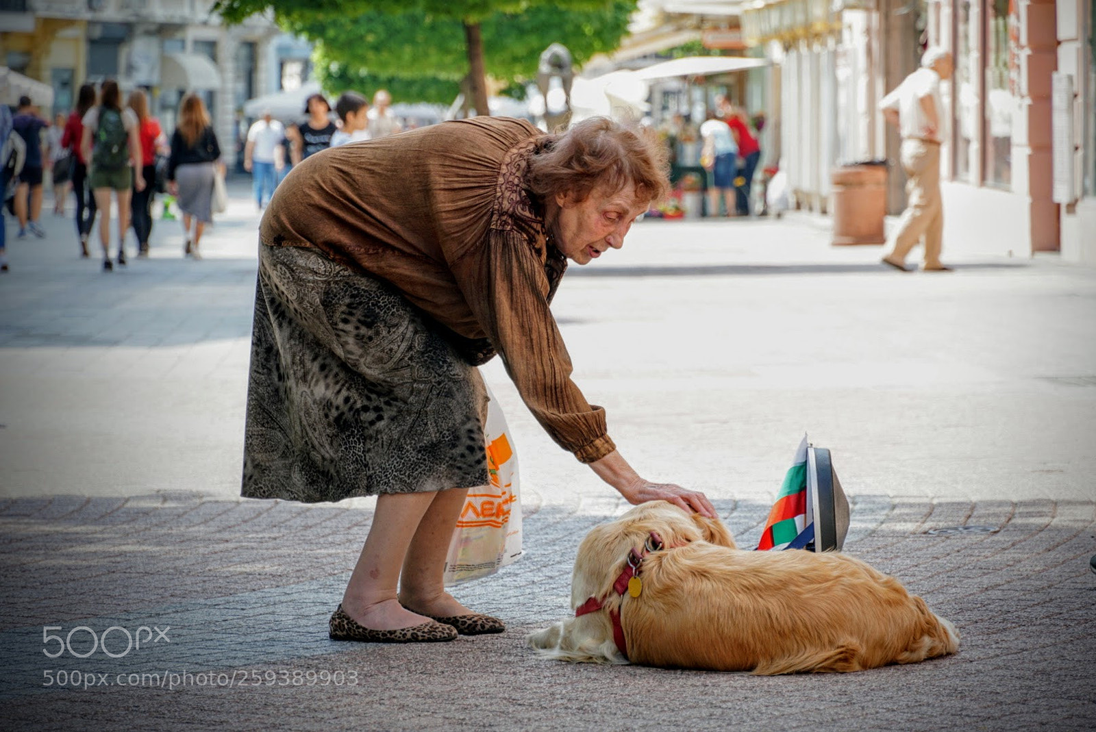 Sony a6300 sample photo. Lrg () photography