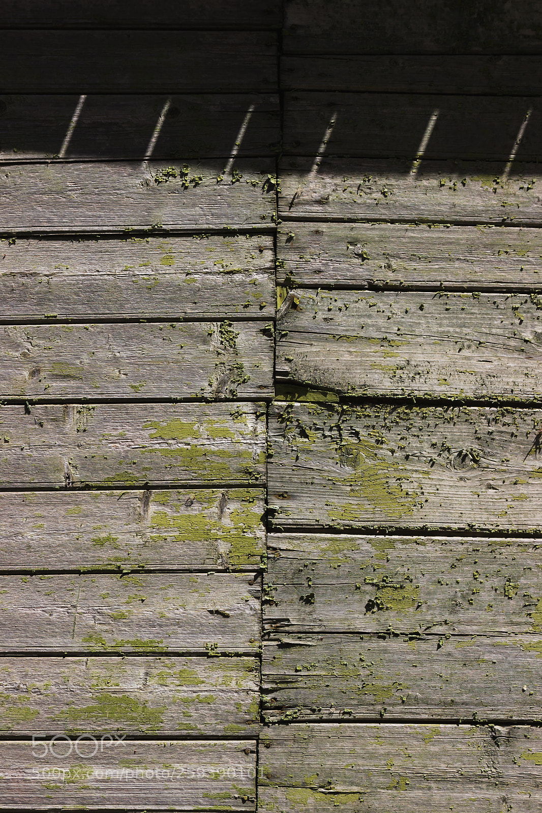Canon EOS 600D (Rebel EOS T3i / EOS Kiss X5) sample photo. Vintage wood background photography