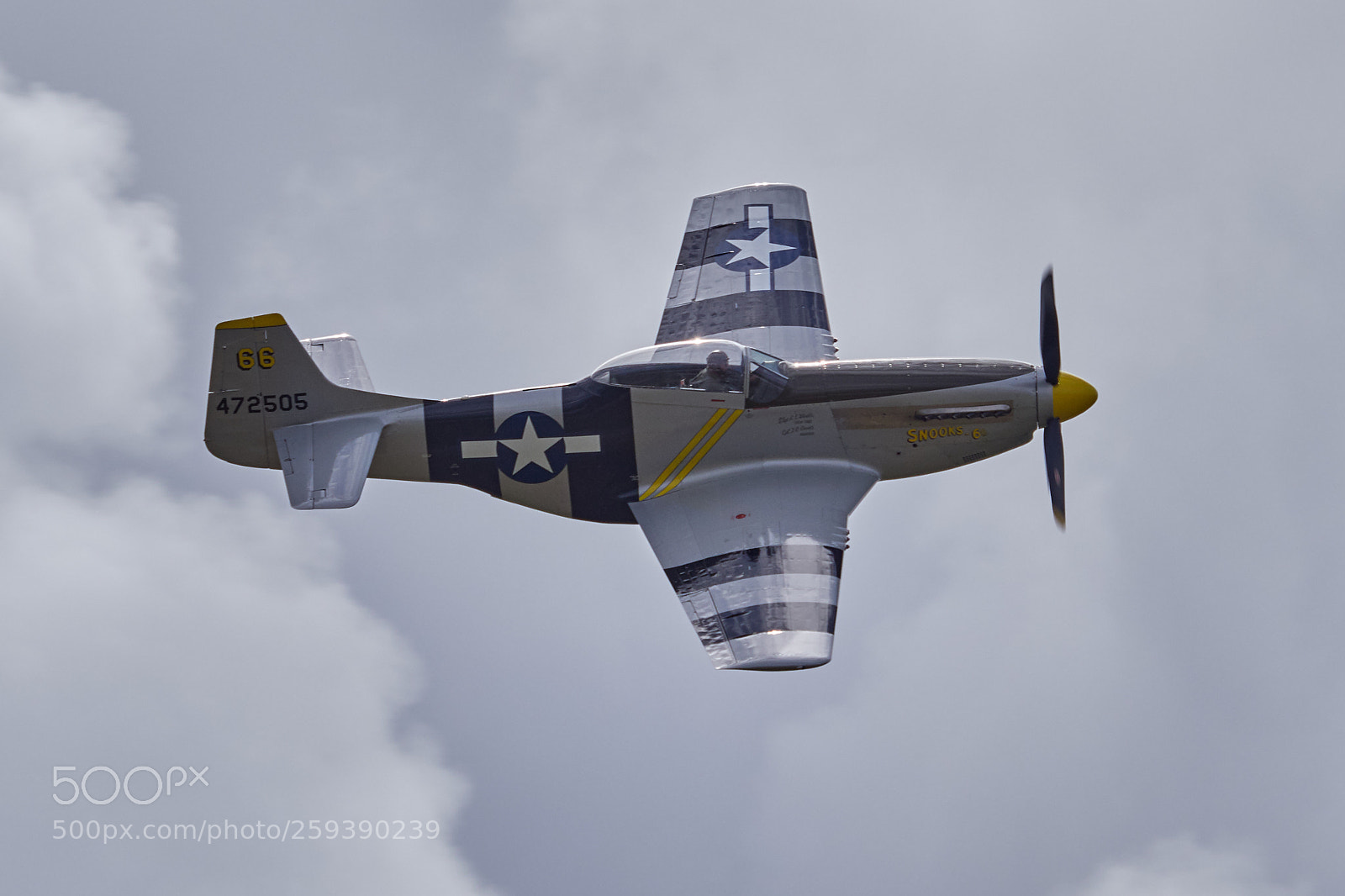 Olympus OM-D E-M1 Mark II sample photo. P51d mustang (4) photography