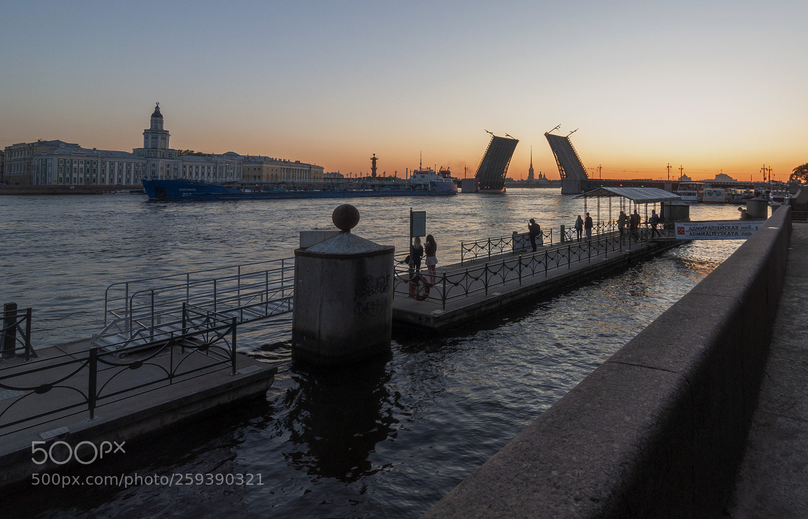Nikon D90 sample photo. Дворцовый мост photography